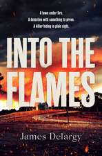 Into the Flames: The scorching new summer thriller