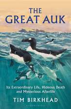 The Great Auk