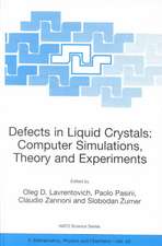 Defects in Liquid Crystals: Computer Simulations, Theory and Experiments