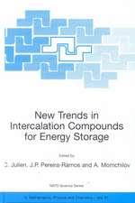 New Trends in Intercalation Compounds for Energy Storage