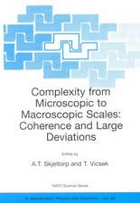 Complexity from Microscopic to Macroscopic Scales: Coherence and Large Deviations