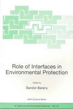 Role of Interfaces in Environmental Protection