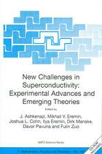 New Challenges in Superconductivity: Experimental Advances and Emerging Theories: Proceedings of the NATO Advanced Research Workshop, held in Miami, Florida, 11-14 January 2004