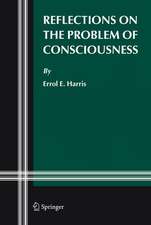 Reflections on the Problem of Consciousness