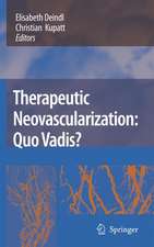 Therapeutic Neovascularization – Quo vadis?