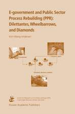 E-government and Public Sector Process Rebuilding: Dilettantes, Wheel Barrows, and Diamonds