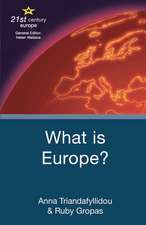 What is Europe?