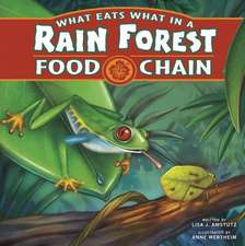 What Eats What in a Rain Forest Food Chain