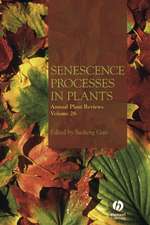 Senescence Processes Plants
