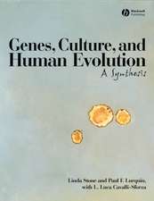 Genes, Culture, and Human Evolution: A Synthesis