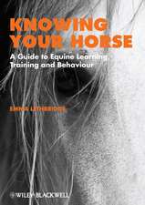 Knowing Horse