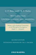Wittgenstein 2e