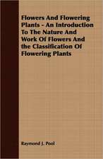 Flowers and Flowering Plants - An Introduction to the Nature and Work of Flowers and the Classification of Flowering Plants: Their History, Collections and Administrations