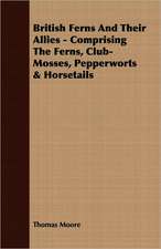 British Ferns and Their Allies - Comprising the Ferns, Club-Mosses, Pepperworts & Horsetails: Keys to the Kingdom Series