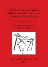 Bones as Tools: Current Methods and Interpretations in Worked Bone Studies