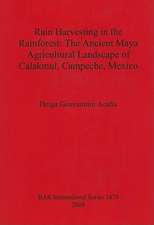 Rain Harvesting in the Rainforest: The Ancient Maya Agricultural Landscape of Calakmul, Campeche, Mexico