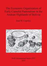 The Economic Organization of Early Camelid Pastoralism in the Andean Highlands of Bolivia