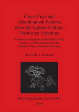 Forest Fires and Abandonment Patterns from the Aguada Culture, Northwest Argentina