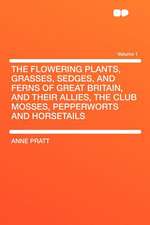 The Flowering Plants, Grasses, Sedges, and Ferns of Great Britain, and Their Allies, the Club Mosses, Pepperworts and Horsetails Volume 1