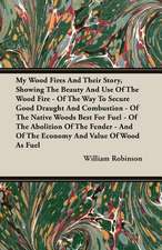 My Wood Fires and Their Story, Showing the Beauty and Use of the Wood Fire - Of the Way to Secure Good Draught and Combustion - Of the Native Woods Be: The Schulz Steam Turbine