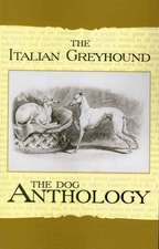 The Italian Greyhound