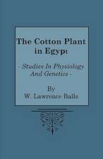 The Cotton Plant in Egypt - Studies in Physiology and Genetics