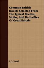 Common British Insects Selected from the Typical Beetles, Moths, and Butterflies of Great Britain: How to Identify Them