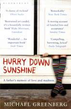 Hurry Down Sunshine: A father's memoir of love and madness