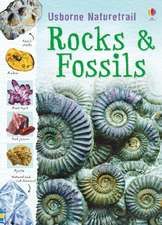 Reid, S: Rocks and Fossils