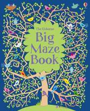 The Usborne Big Maze Book