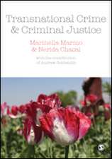 Transnational Crime and Criminal Justice