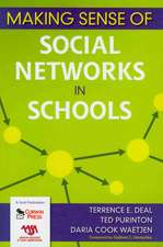 Making Sense of Social Networks in Schools