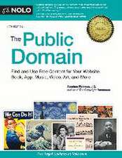 The Public Domain