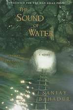 The Sound of Water: Raising One of America's Largest Families--How They Do It