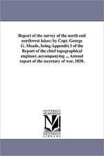 Report of the Survey of the North End Northwest Lakes: By Capt. George G. Meade, Being Appendix I of the Report of the Chief Topographical Engineer, A