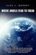 Where Angels Fear to Tread: The Nature of Reality and Meaning of God