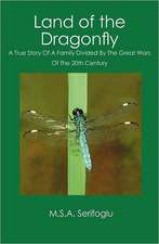 Land of the Dragonfly: Life Cycle - Business Cycle - Stock Cycle