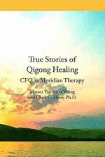 True Stories of Qigong Healing: Cfq as Meridian Therapy