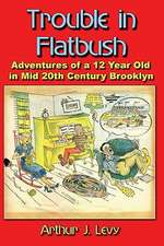 Trouble in Flatbush: The Adventures of a 12 Year Old in Mid 20th Century Brooklyn