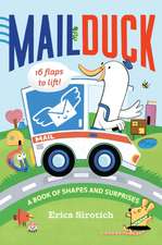 Mail Duck (a Mail Duck Special Delivery)