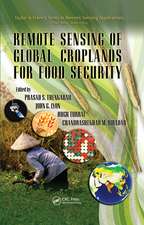 Remote Sensing of Global Croplands for Food Security