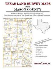 Texas Land Survey Maps for Mason County