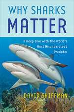 Why Sharks Matter – A Deep Dive with the World′s Most Misunderstood Predator