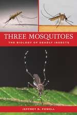 Three Mosquitoes