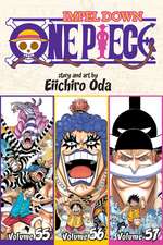 One Piece (Omnibus Edition), Vol. 19: Includes vols. 55, 56 & 57