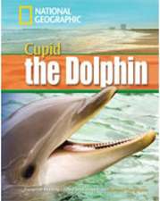 Cupid the Dolphin