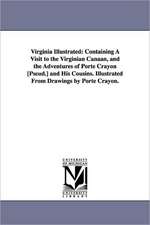 Virginia Illustrated: Containing A Visit to the Virginian Canaan, and the Adventures of Porte Crayon [Pseud.] and His Cousins. Illustrated From Drawings by Porte Crayon.