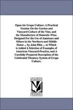 Open Air Grape Culture: A Practical Treatise on the Garden and Vineyard Culture of the Vine, and the Manufacture of Domestic Wine. Designed Fo