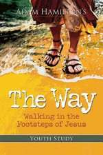 The Way: Walking in the Footsteps of Jesus