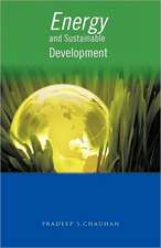 Energy and Sustainable Development